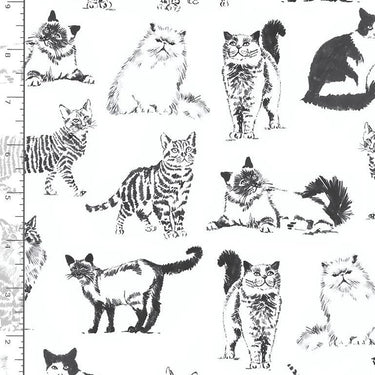 Timeless Treasures Fabric Sketched Realistic Cats Fabric  - The Sewing Studio for sale UK - The Sewing Studio