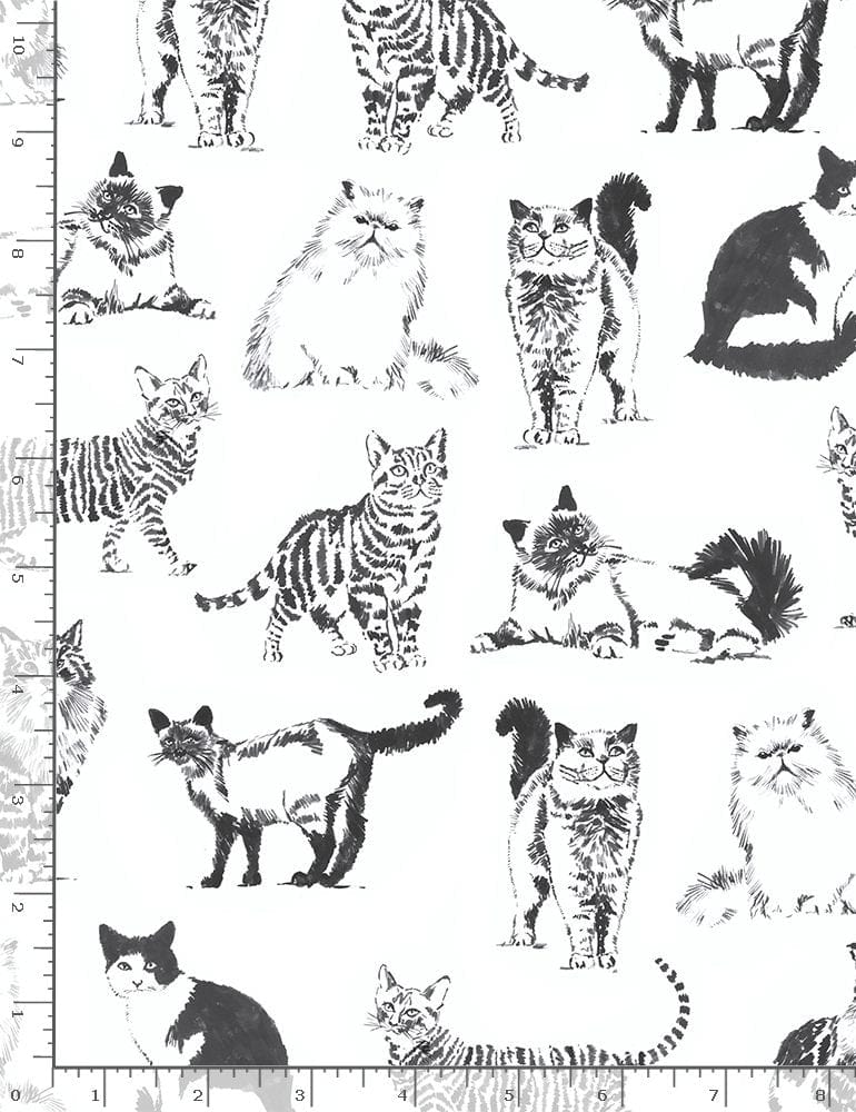 Timeless Treasures Fabric Sketched Realistic Cats Fabric  - The Sewing Studio