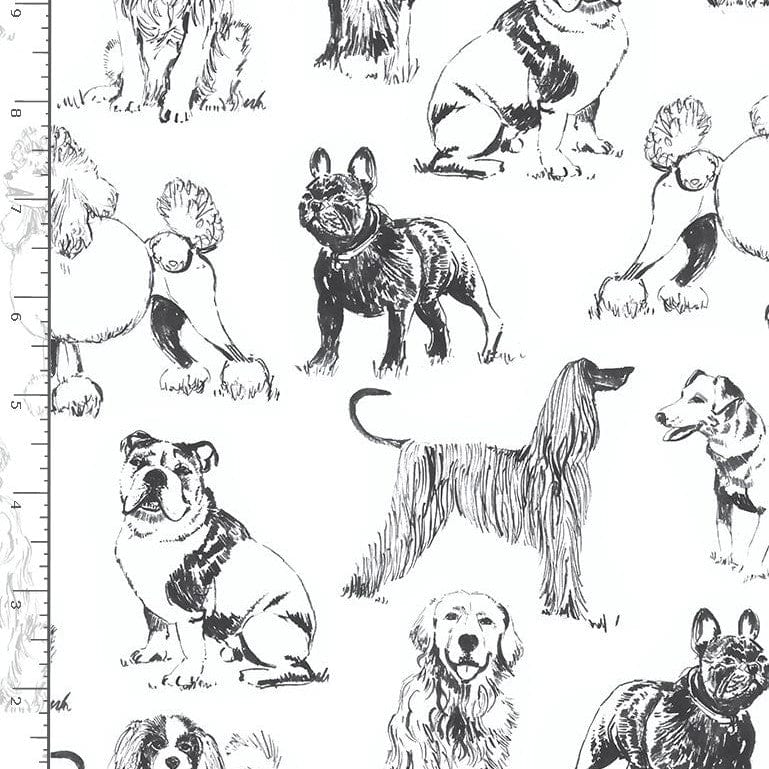 Timeless Treasures Fabric Sketched Realistic Dogs Fabric  - The Sewing Studio