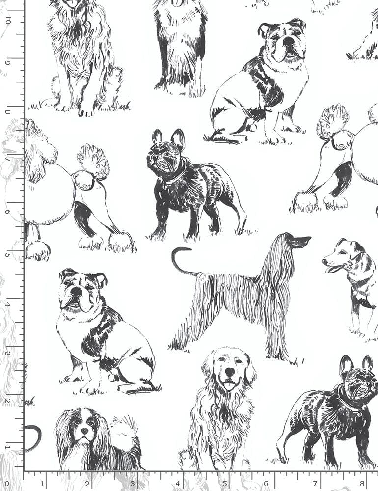 Timeless Treasures Fabric Sketched Realistic Dogs Fabric  - The Sewing Studio