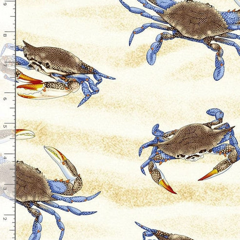 Timeless Treasures Fabric Timeless Treasures Crabs on Sand  - The Sewing Studio