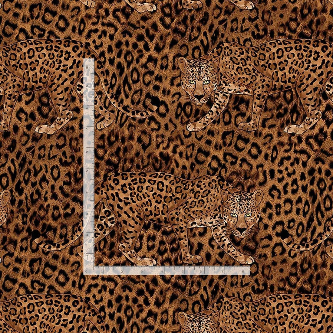 Timeless Treasures Fabric Timeless Treasures Fabric Leopard Print Leopard  - The Sewing Studio